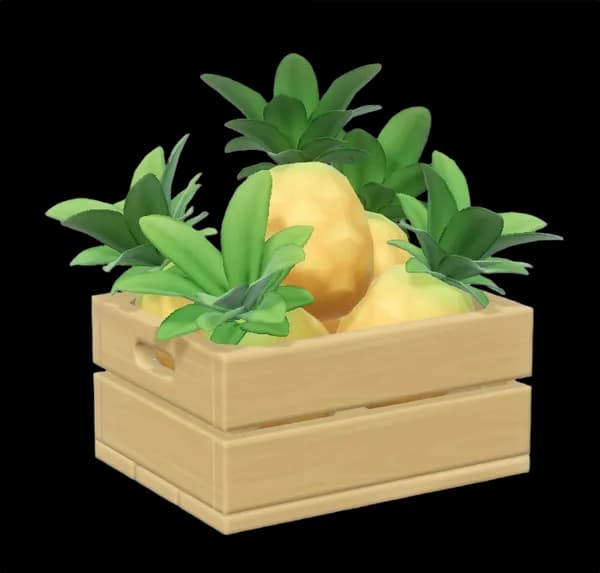 Pineapple