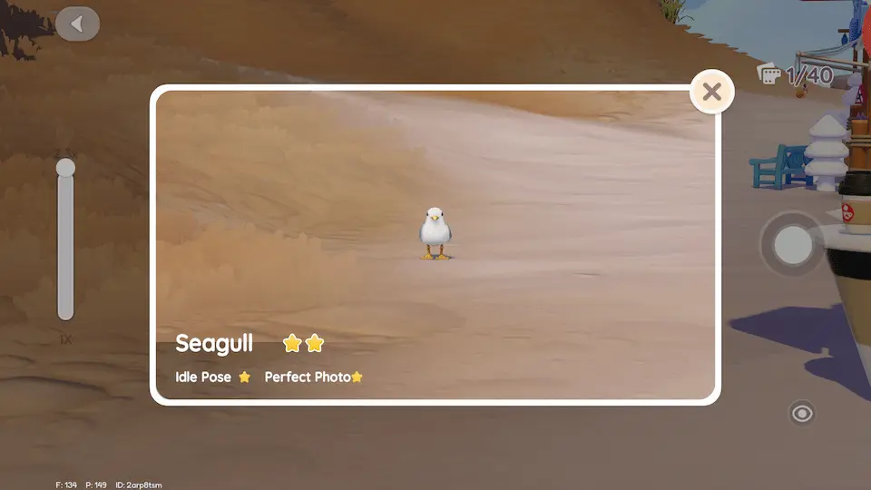 Perfect Photo upgrade in Birdwatching