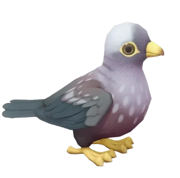 African Olive Pigeon