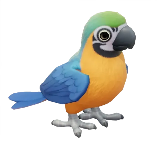 Blue-and-yellow Macaw