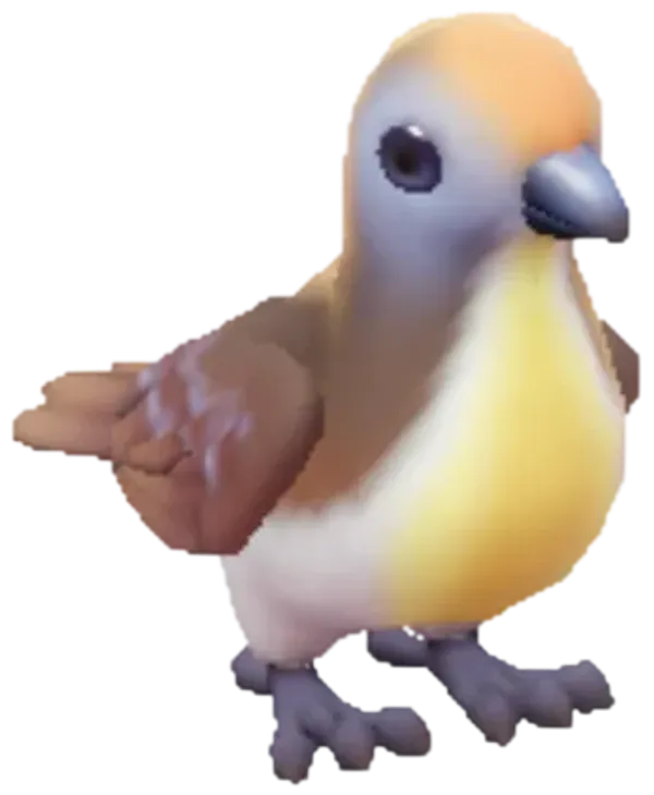 Cinnamon Ground Dove