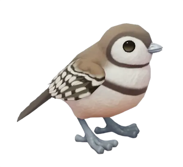 Double-Barred Finch