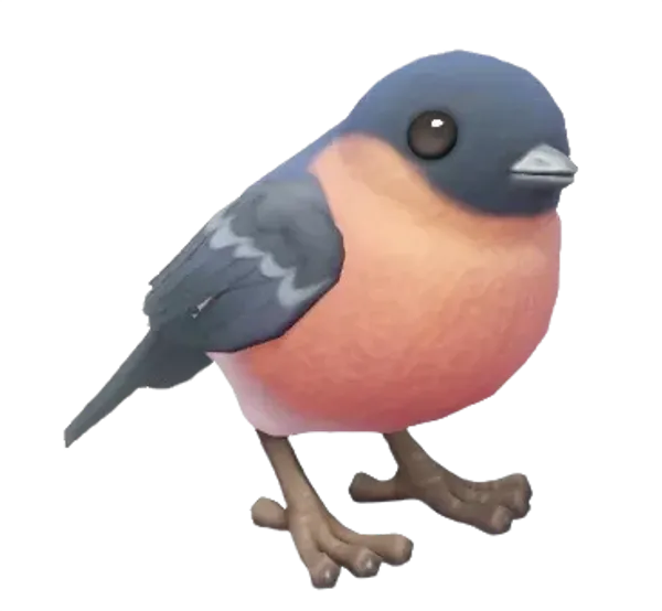 Eurasian Bullfinch