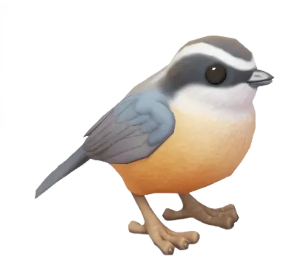 Eurasian Nuthatch