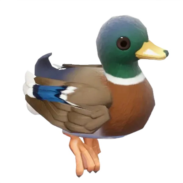 Mallard