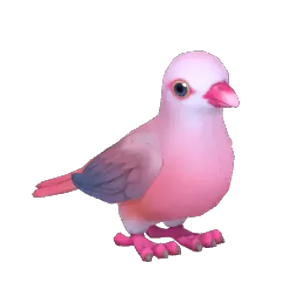 Pink Pigeon