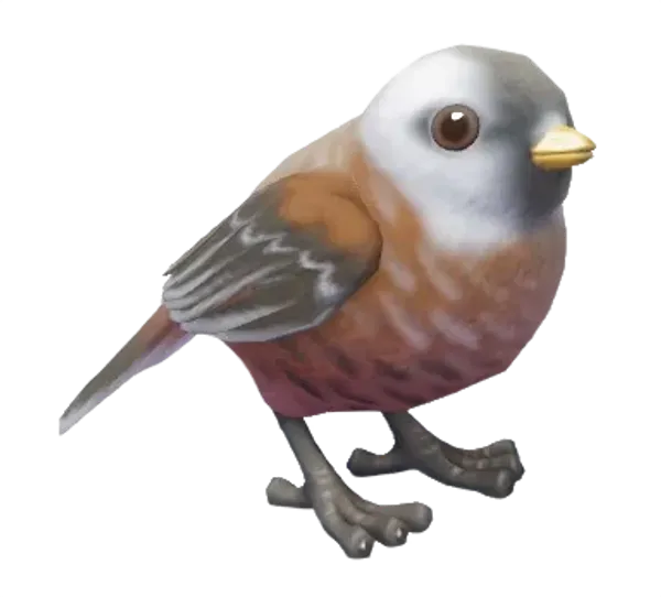 Przevalski's Parrotbill