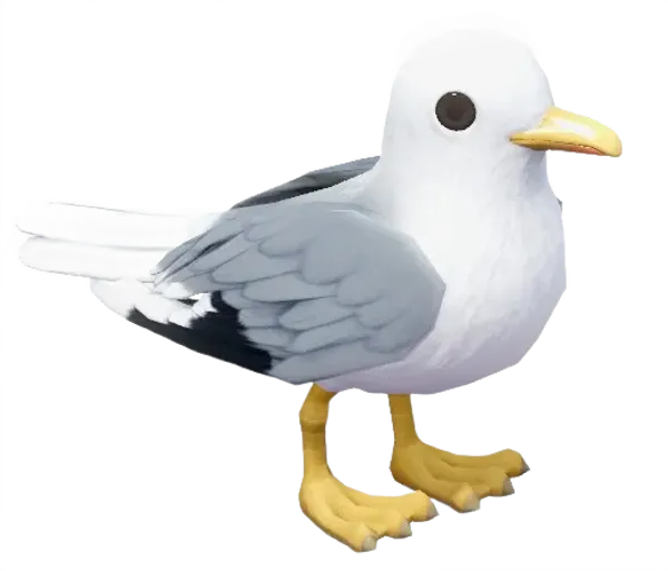 Seagull