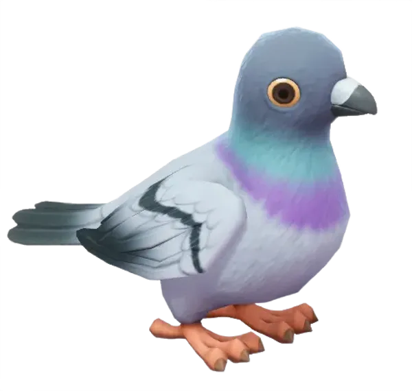 Stock Dove