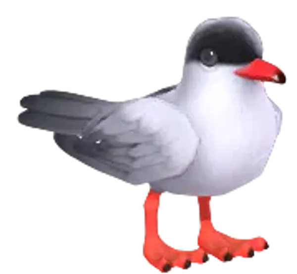 Tern