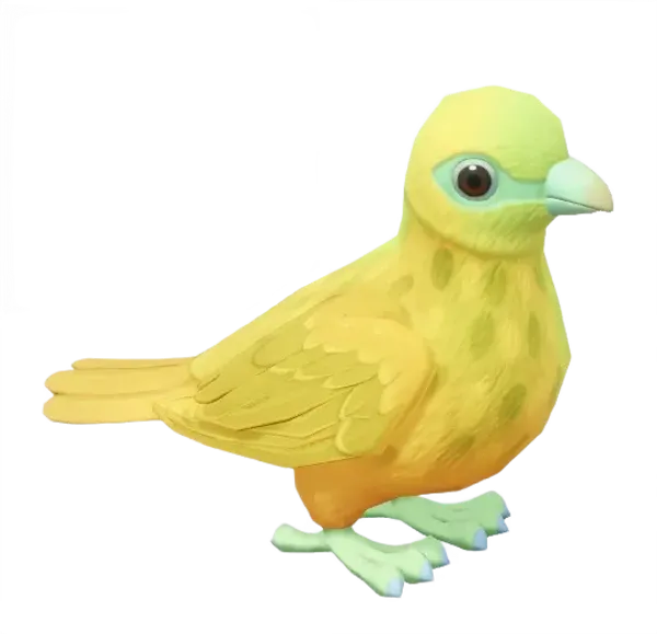 Wallace's Fruit Dove