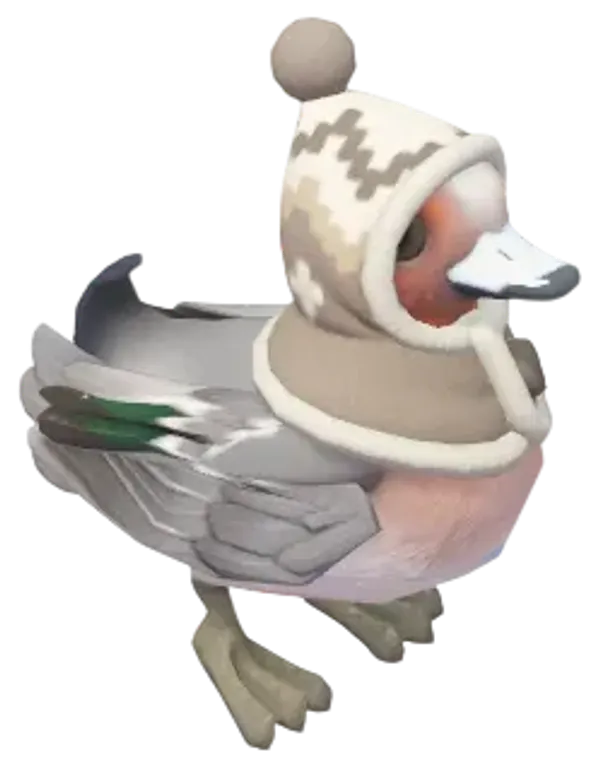 Winter Eurasian Wigeon