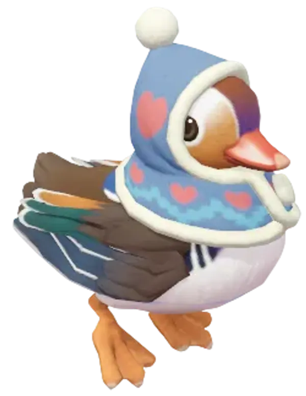 Winter Mandarin Duck