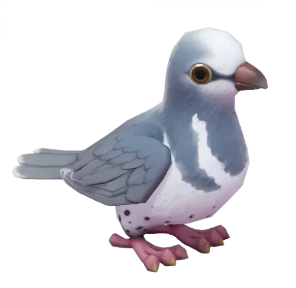 Wonga Pigeon
