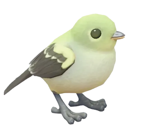 Yellow Bellied Flycatcher