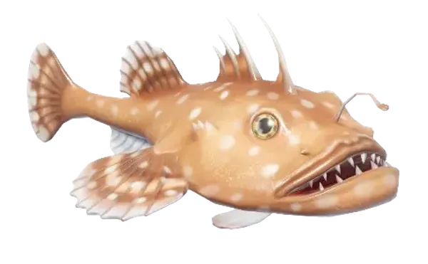Anglerfish