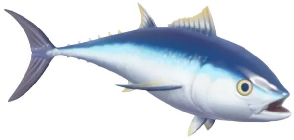 Bluefin Tuna