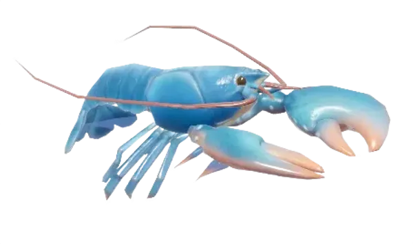 European Lobster