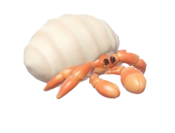 Hermit Crab