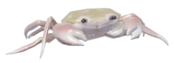 River Crab