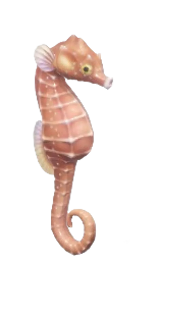 Seahorse