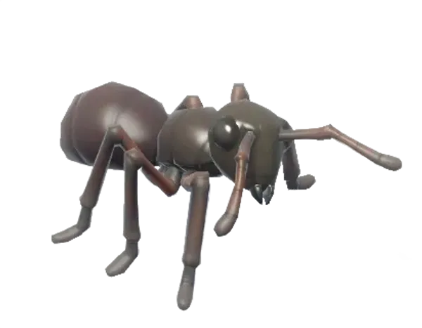 Ant