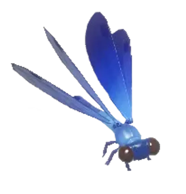 Beautiful Demoiselle