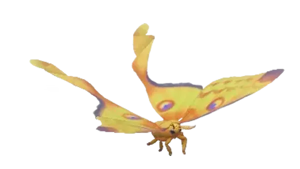 Comet Moth