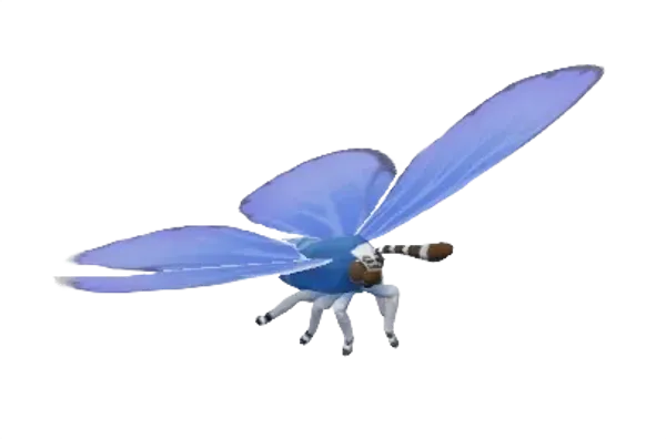 Common Blue Butterfly