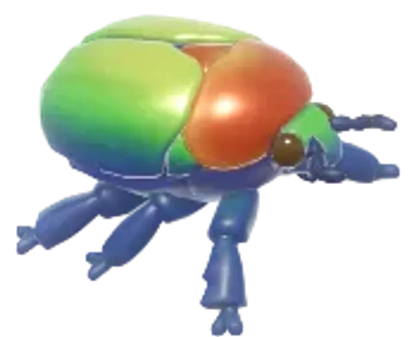 Elegant Flower Beetle