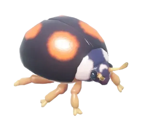 Four-Spotted Ladybug