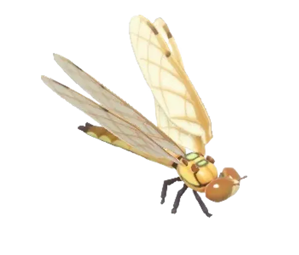 Four-Spotted Skimmer