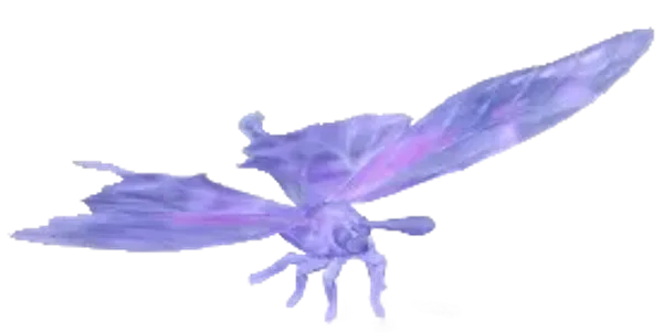 Frostspore Purple Spotted Swallowtail