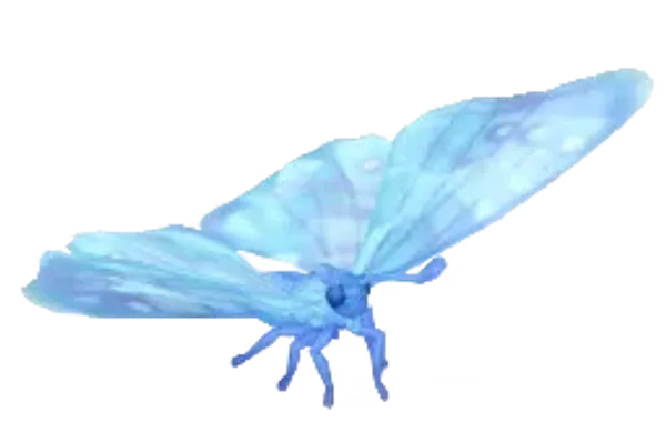 Frostspore Sulkowsky's Morpho