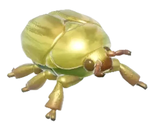 Golden Jewel Scarab