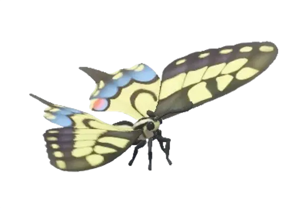 Old World Swallowtail