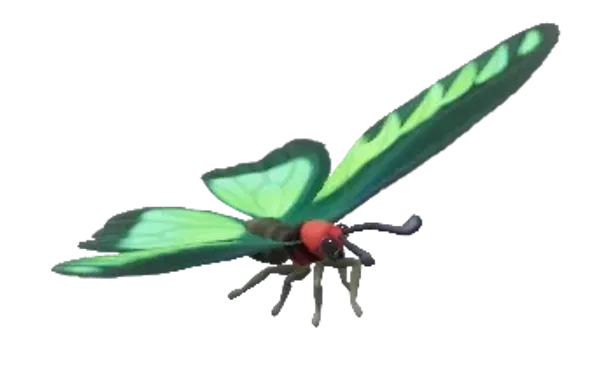 Rajah Brooke’s Birdwing