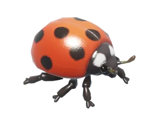 Seven-Spotted Ladybug