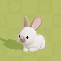 Bunny